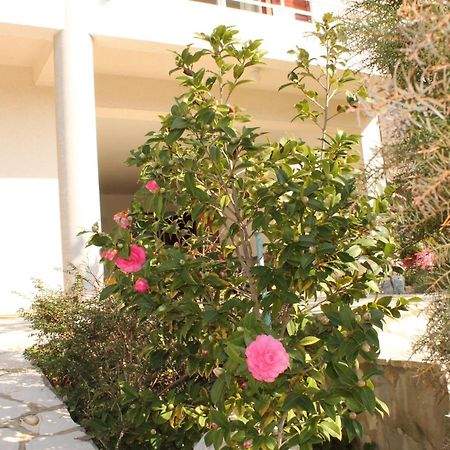 Apartments Vila Marica Rabac Kültér fotó