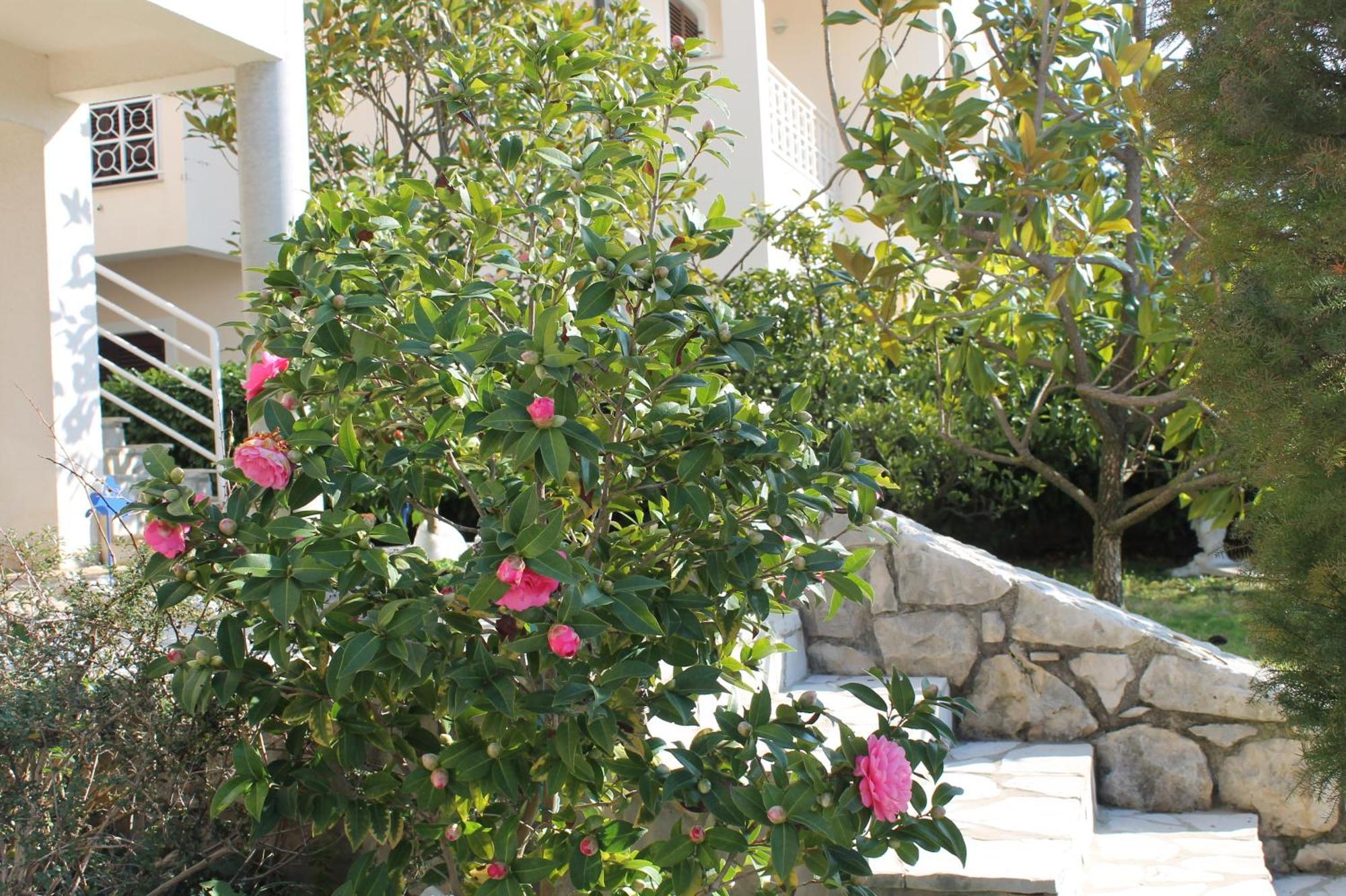 Apartments Vila Marica Rabac Kültér fotó