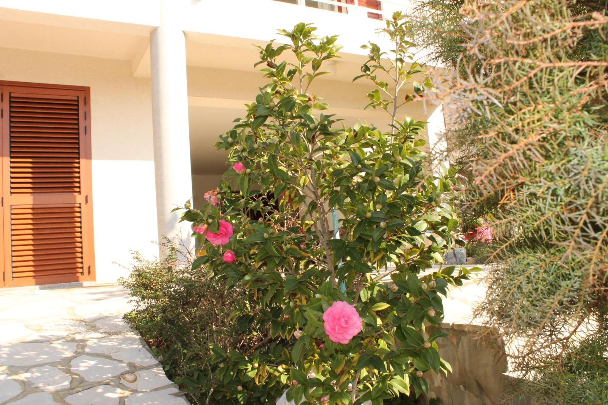 Apartments Vila Marica Rabac Kültér fotó