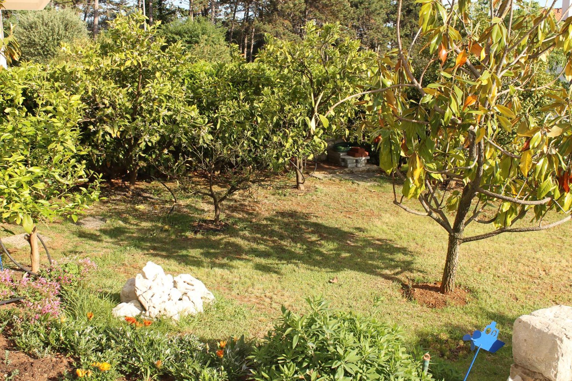 Apartments Vila Marica Rabac Kültér fotó