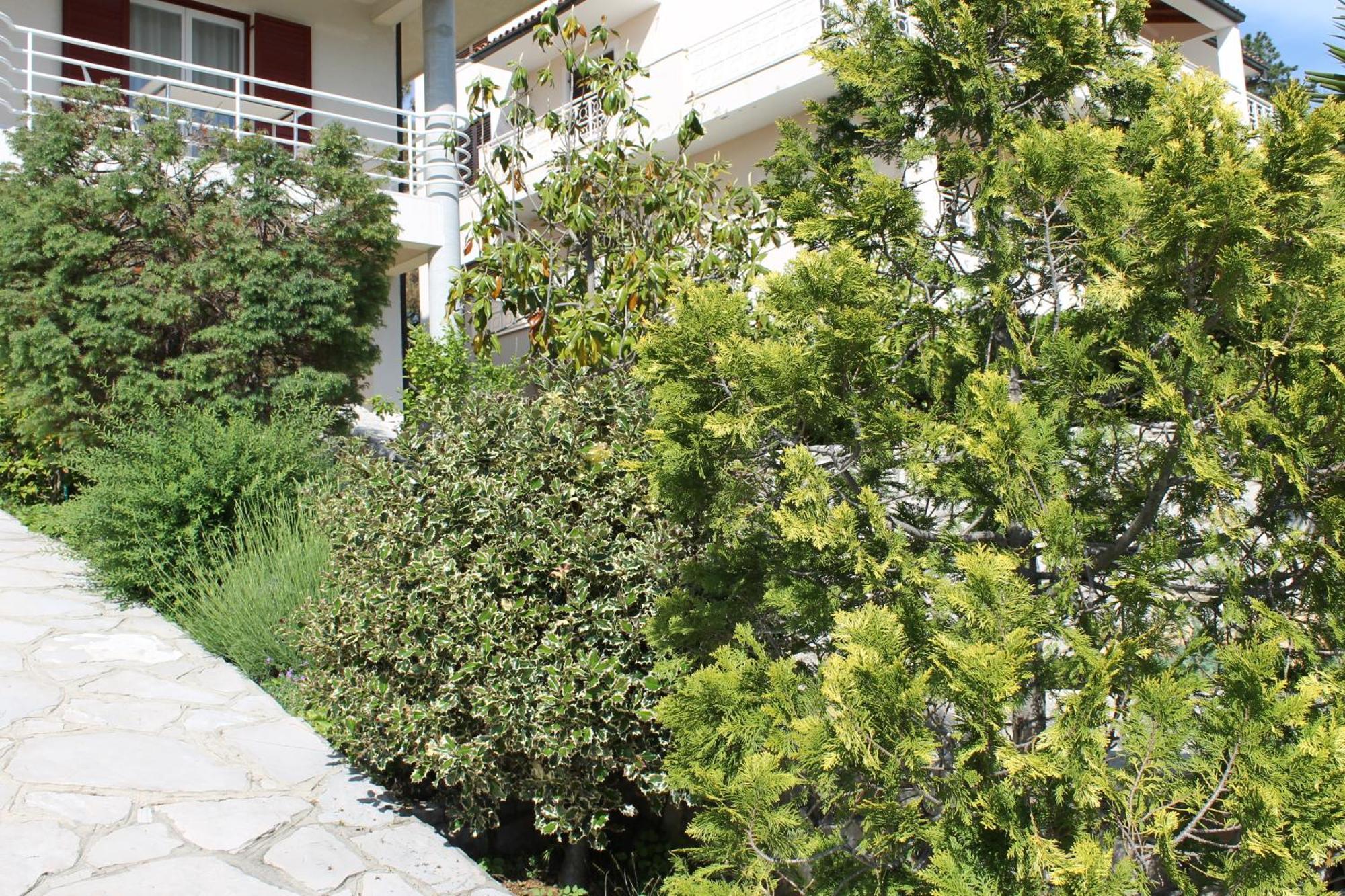Apartments Vila Marica Rabac Kültér fotó