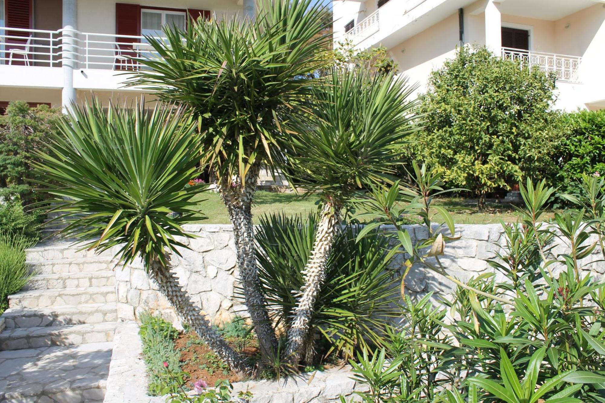Apartments Vila Marica Rabac Kültér fotó
