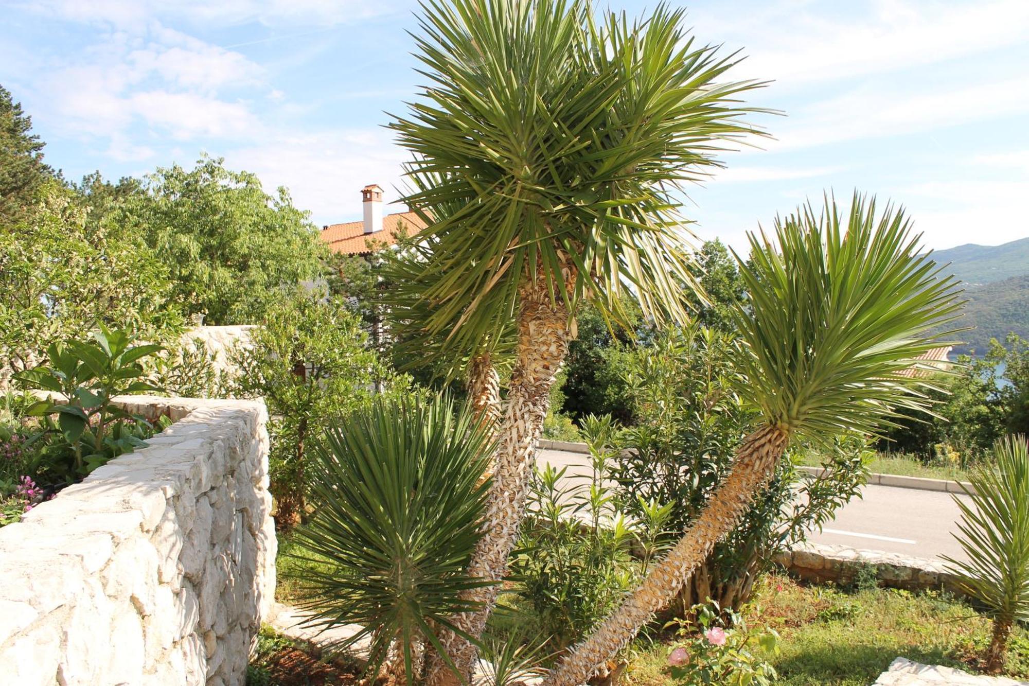 Apartments Vila Marica Rabac Kültér fotó